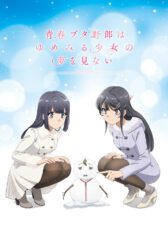 Seishun Buta Yarou wa Yumemiru Shoujo no Yume wo Minai