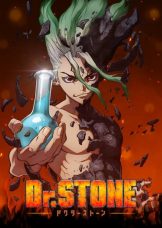 Dr. Stone
