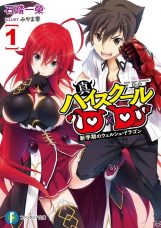 High School DxD Hero