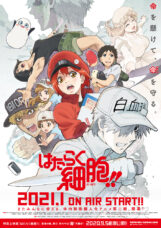 Hataraku Saibou Season 2